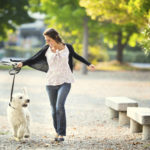 Checkliste – Erstausstattung Hund