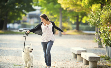 Checkliste – Erstausstattung Hund