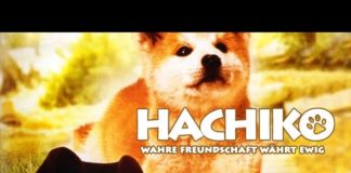 Hachiko - Wahre Freundschaft währt ewig