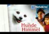 Nur Hunde kommen in den Himmel