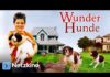 Wunder Hunde – Eine magische Geschichte