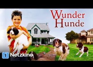 Wunder Hunde – Eine magische Geschichte