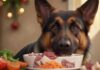 A close-up, hyperrealistic shot of a happy, healthy German Shepherd dog enjoying a bowl of fresh, raw food. The bowl contains chunks of vibrant red meat, vegetables, and bones, perfectly arranged. Warm, natural lighting, bokeh background. Photorealistic, 8k resolution, no text.
