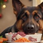 Hunde barfen: Alles, was Sie wissen müssen A close-up, hyperrealistic shot of a happy, healthy German Shepherd dog enjoying a bowl of fresh, raw food. The bowl contains chunks of vibrant red meat, vegetables, and bones, perfectly arranged. Warm, natural lighting, bokeh background. Photorealistic, 8k resolution, no text.
