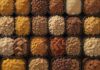A close-up hyperrealistic shot of various types of dog food, including dry kibble and wet food. Vibrant colors, natural lighting, focus on textures. No text or logos. Photorealistic, food photography, depth of field.