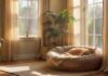 Katzen Zubehör: Für glückliche Katzen A hyperrealistic scene of a cozy living room, with various cat accessories naturally integrated. A plush cat bed, a sturdy scratching post, ceramic food and water bowls, and a transport box are visible. Natural light, warm tones, soft textures