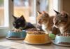 Katzenfutter-Test: Die besten Sorten für Ihre Katze! A hyperrealistic, close-up shot of various types of cat food, both wet and dry, arranged attractively in bowls. Soft, natural lighting highlights textures, with a blurred, cozy home background. No text or logos. Photorealistic detail.
