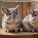 Chinchilla Haltung: So geht’s artgerecht! A hyperrealistic photograph of a fluffy Chinchilla with soft, dense fur, sitting inside a spacious, multi-tiered cage. The cage includes wooden platforms, branches, and a ceramic sand bath. Warm, natural lighting, no text.