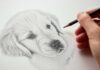 Hyperrealistic close-up of hands sketching a Golden Retriever puppy head with graphite pencils on textured paper. Soft natural light from a window illuminates the scene, highlighting hand skin texture, pencil strokes, and paper fibers. Shallow depth of field, blurred background. No text.
