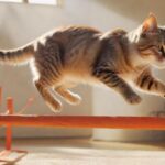A hyperrealistic image of a sleek, agile cat gracefully navigating a vibrant, homemade agility course. Sunlight filters through, highlighting the cat's focused expression and muscles as it leaps over a miniature hurdle. No text.
