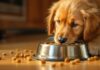 Hyperrealistic close-up photo of a happy golden retriever puppy intensely eating dry kibble from a clean stainless steel bowl. Warm kitchen floor with natural wood texture. Golden hour lighting, soft shadows, shallow depth of field. Sharp details of fur, eyes, and kibble. No text.