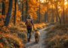 Urlaub mit Hund Wanderhotel: Die schönsten Hotels für Wanderfreunde mit Vierbeinern! Hyperrealistic photograph. Woman with brown Labrador hiking on a mountain trail in the Bavarian Alps, Germany. Autumn forest. Golden hour sunset lighting. Shallow depth of field, focus on woman and dog. No text. Extremely detailed textures, natural colors, photorealistic.