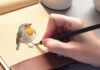 Hyperrealistic close-up of a hand delicately sketching a vibrant robin in a worn leather sketchbook. Soft, diffused natural light from a nearby window illuminates the textured paper and the subtle details of the hand's skin and pencil grip. Focus on the intricate feather details of the unfinished robin drawing, emphasizing depth and shading. No text.