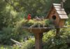 A lush, vibrant garden teeming with life. Several small, colorful birds perched on branches of native berry bushes and wild apple trees. Bird bath, wooden birdhouse. Sunlight, depth of field, hyperrealistic, photorealistic, no text.
