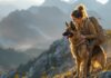 Wandern mit Hund Mehrtagestour: So planen Sie unvergessliche Wanderabenteuer! Hyperrealistic, cinematic wide shot: A woman in hiking gear smiles down at her panting German Shepherd dog on a rugged mountain trail, backpacks visible. Golden hour morning light illuminates dust motes in the air, casting long shadows. Vast mountain range vista, textured rocks and foliage. Focus on hyperrealism, no text in image.