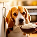 Hunde Durchfall Hausmittel: So helfen Sie Ihrem Hund auf natürliche Weise! Hyperrealistic close-up of a concerned owner's hand gently offering a bowl of bland, cooked chicken and rice to a slightly unwell-looking Beagle dog in a warm, softly lit kitchen. Extremely detailed textures of dog fur, food, and kitchen elements. Natural soft lighting, shallow depth of field, artifact-free, photorealistic image, no text.
