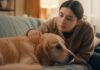 Hyperrealistic photo, no text. Concerned young woman gently strokes her golden retriever in a cozy living room. The dog appears slightly unwell, resting its head on the sofa cushion. Soft natural light from a window illuminates the scene. Detailed fur, shallow depth of field, warm, inviting atmosphere, realistic textures.