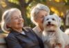 Hyperrealistic photograph: tender moment of an elderly woman with silver hair, smiling gently on a sun-dappled park bench. Beside her, a calm, small, fluffy white Havanese-like dog looks contentedly towards her. Soft focus park foliage background. Detailed textures, warm golden hour lighting. Flawless anatomy, artifact-free. Absolutely no text.