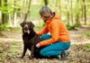 Hunde Zeckenbiss vorbeugen: So schützen Sie Ihren Vierbeiner vor den Plagegeistern! Hyperrealistic photo, a woman in hiking clothes kneels in a sunlit forest clearing, gently checking her brown Labrador's belly for ticks. Deciduous forest, leaves on the ground, soft focus background, shallow depth of field, natural light, no text.