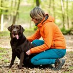 Hunde Zeckenbiss vorbeugen: So schützen Sie Ihren Vierbeiner vor den Plagegeistern! Hyperrealistic photo, a woman in hiking clothes kneels in a sunlit forest clearing, gently checking her brown Labrador's belly for ticks. Deciduous forest, leaves on the ground, soft focus background, shallow depth of field, natural light, no text.