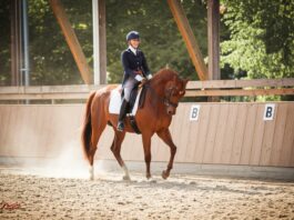 Photorealistic image: A woman in riding clothes gracefully performs dressage on a brown horse in a sunlit indoor arena. Dust motes in the air, soft focus background, emphasis on realism and detail. No text.