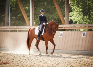 Reiten lernen: Der Traum vom Glück auf dem Rücken der Pferde! Photorealistic image: A woman in riding clothes gracefully performs dressage on a brown horse in a sunlit indoor arena. Dust motes in the air, soft focus background, emphasis on realism and detail. No text.