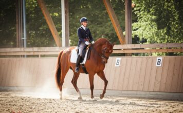 Photorealistic image: A woman in riding clothes gracefully performs dressage on a brown horse in a sunlit indoor arena. Dust motes in the air, soft focus background, emphasis on realism and detail. No text.
