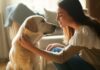 Hyperrealistic photorealistic image of a young woman kneeling and gently petting a Labrador Retriever, looking into its eyes with a gentle and understanding gaze. Soft, natural light streaming through a window illuminates a cozy living room setting. Shallow depth of field, focus on the connection between human and dog. Artefact-free, no text.