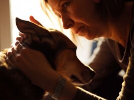Close-up, gentle hand softly stroking dog's fur. Woman with melancholic expression, soft sunlight streaming through window, warm indoor setting, shallow depth of field, photorealistic, hyperrealistic, no text.