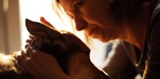 Close-up, gentle hand softly stroking dog's fur. Woman with melancholic expression, soft sunlight streaming through window, warm indoor setting, shallow depth of field, photorealistic, hyperrealistic, no text.