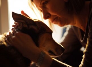 Trauer um Haustier: So bewältigen Sie den Verlust Ihres geliebten Freundes! Close-up, gentle hand softly stroking dog's fur. Woman with melancholic expression, soft sunlight streaming through window, warm indoor setting, shallow depth of field, photorealistic, hyperrealistic, no text.