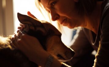 Trauer um Haustier: So bewältigen Sie den Verlust Ihres geliebten Freundes! Close-up, gentle hand softly stroking dog's fur. Woman with melancholic expression, soft sunlight streaming through window, warm indoor setting, shallow depth of field, photorealistic, hyperrealistic, no text.