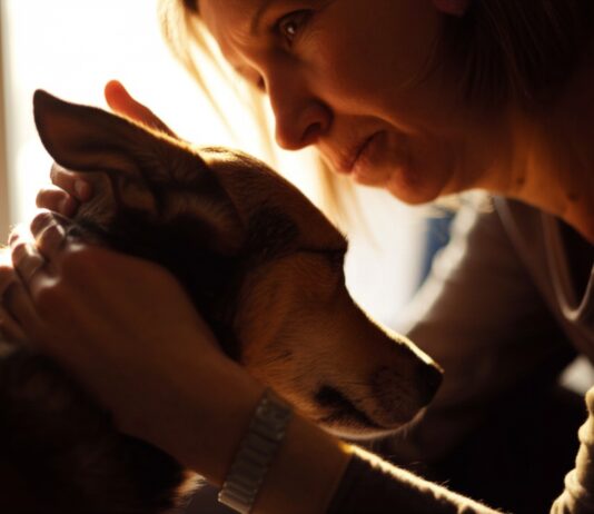 Close-up, gentle hand softly stroking dog's fur. Woman with melancholic expression, soft sunlight streaming through window, warm indoor setting, shallow depth of field, photorealistic, hyperrealistic, no text.