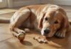Kosten Hund Beschäftigung & Spielzeug: So planen Sie das Budget für Spaß & Auslastung! Photorealistic medium shot of a happy, healthy, anatomically correct golden retriever lying on a polished wooden floor, intensely focused on solving a complex wooden intelligence puzzle toy. Soft, natural window light illuminates its detailed fur. Various other toys (a durable rubber ball, a rope tug) are scattered nearby. Absolutely no text or letters visible. Hyperrealistic, artifact-free, sharp focus, detailed textures.