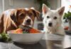 Hyperrealistic, eye-catching: A pristine white ceramic bowl overflowing with a vibrant BARF meal for a dog—succulent raw red meat, glistening chicken liver, chopped carrots, dark leafy greens, artfully arranged on a modern kitchen countertop. Soft morning light highlights textures. A healthy dog's expectant, wet nose softly blurred in foreground. Flawless, artifact-free. No text or letters.