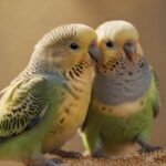 Wellensittich hat Durchfall? Diese Schonkost hilft jetzt! Hyperrealistic, detailed close-up of a budgerigar perched on a millet spray, eating. The background is softly blurred with hints of a birdcage. Golden hour lighting enhances the texture of the feathers, captured with a shallow depth of field. No text. artifact-free rendering. anatomically correct.