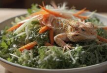 Hyperrealistic, close-up shot of a vibrant salad mix for a bearded dragon, featuring finely chopped endive, grated carrots, diced zucchini, and ungespritzt dandelion greens, displayed in a shallow ceramic dish, under soft, natural lighting, no text. turbo