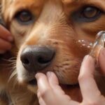 hyperrealistic close-up photo: Gentle hands of a person carefully administering ear drops into a calm dog's ear. Soft natural light illuminates the scene, highlighting intricate fur texture and the clear liquid dropper. Shallow depth of field, warm tones, no text, no artifacts.