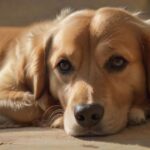 Hyperrealistic, photorealistic portrait of a gentle female Golden Retriever dog, resting on a soft, textured blanket in a warm, sunlit living room. Her eyes convey a pensive, natural expression. Focus on intricate fur details, natural shadows, and perfect anatomy. Award-winning pet photography. Absolutely no text, letters, or distortions.